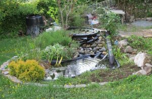 Build Pond Backyard