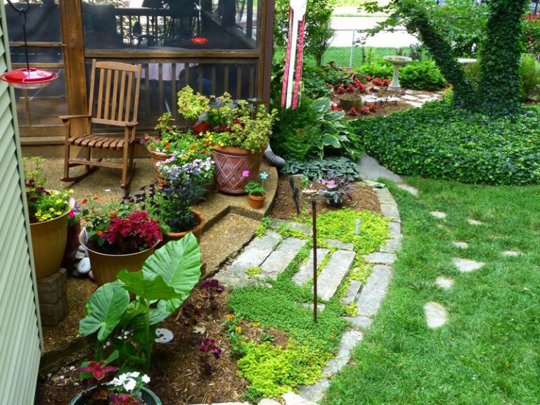 Container Vegetable Gardening Backyard Patio