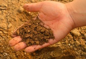 10 Tests to Determine Soil Quality in Spring