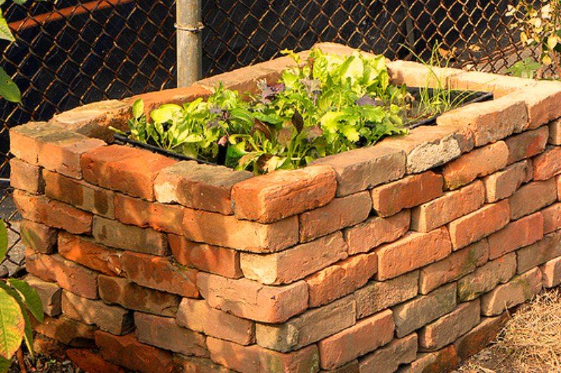 How To Build Raised Vegetable Garden Beds