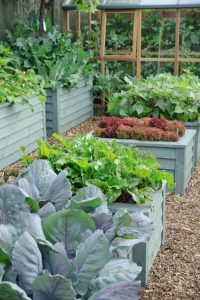 How to Plant a Narrow Garden Space