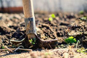 Start Garden Turn Soil